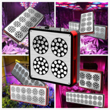Cidly LED 4 150W High power 3W led grow light for indoor plant growing