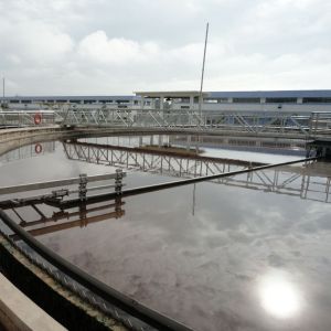 Sludge Treatment Equipment Center / Peripheral Drive Central Drive Full Bridge