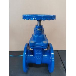 Y Type Flange Gate Valve Soft Seal Sluice Valve for CI/DI/WCB/SS Structure