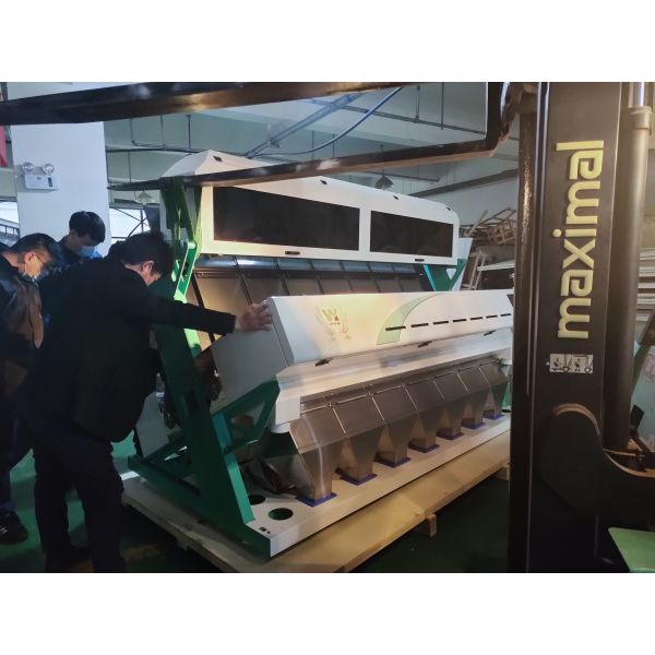 Quality Beans Rice Macadamia Cashew Color Sorter Machine With Advanced Led Light wholesale