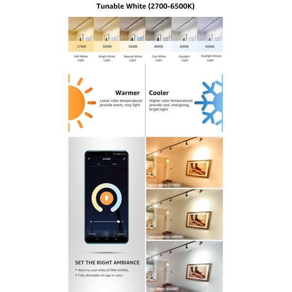 Smart Floodlight