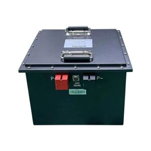 Autonomous Mobile Robot Lifepo AGV Batteries Pack Systems 48V 105AH