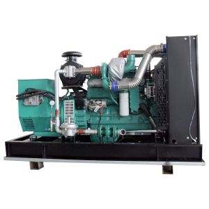 125kVA Natural Gas Generator Set with Water Cooled Method and Low-Noise Cummins