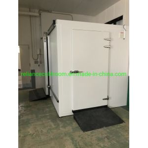Deep Freezer Cold Room Cold Storage Chiller for Blood Customized Request