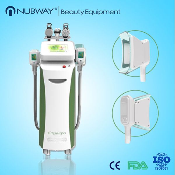 Quality Weight Loss Machine Cryolipolysis/Antifreeze Membranes For Cryolipolysis Machine wholesale