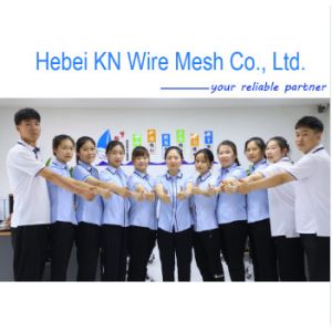 Customization River Flood Control Gabion Basket 8*10cm Hexagonal Hole