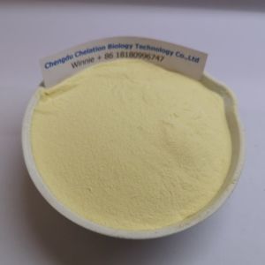 China White Yellow Powder Solubility Zinc for Animal Nutrition Improving Animal Growth on sale