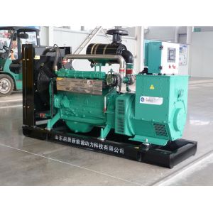 60kw 100kw Biogas Generator Set with Factory Price