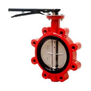 Customized Service and ODM Lug Type Butterfly Valve with Hand Lever