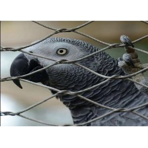China Polished Surface Zoo Wire Mesh with 60 Degree Diamond Mesh and Stainless Steel Wire Rope on sale