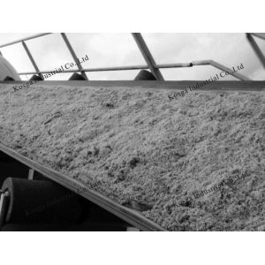 Ultra Wide Conveyor Belt