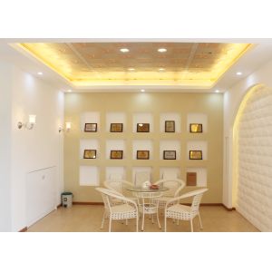 Residential Metal Artistic Ceiling Tiles , Ceiling Decorative Panel for Home