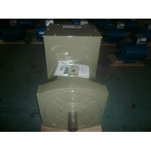 300KW Double Bearing Alternator With First Class AVR IP22 AC Single Phase