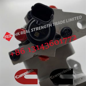 China Cummins ISL8.9 QSL9 Engine Parts Injection Fuel Pump 3973228 5594766 4921431 on sale