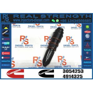 Nt855 Nta855 Nta855-c280s10 Diesel Engine Parts Common Rail Fuel Injector