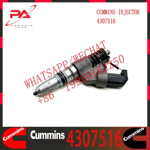 Quality Diesel Engine Fuel Injector 4307516 4307516 3083863 3411752 3411761 4307547 4928171 For QSM11 ISM11 M11 wholesale