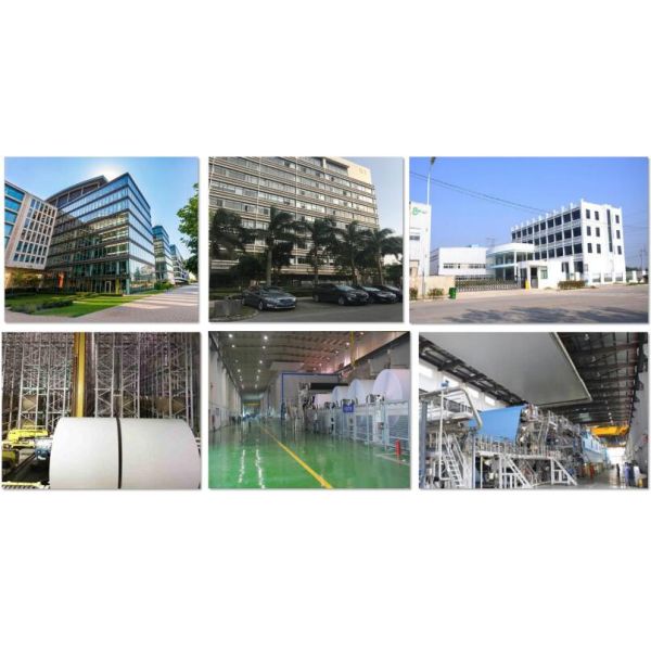 50g NCR Paper Superior 3 - Part CB CF CFB Carbonless Jumb Roll 787mm Width 50g NCR Paper Superior 3 - Part CB CF CFB Carbonless Jumb Roll 787mm Width