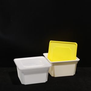 Leak Proof BPA Free PP Lunch Box Plastic Disposable Lunch Packing Box For Hot Or