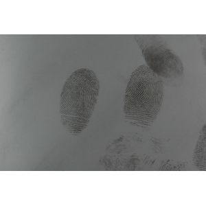 C095 Gray fingerprint powder