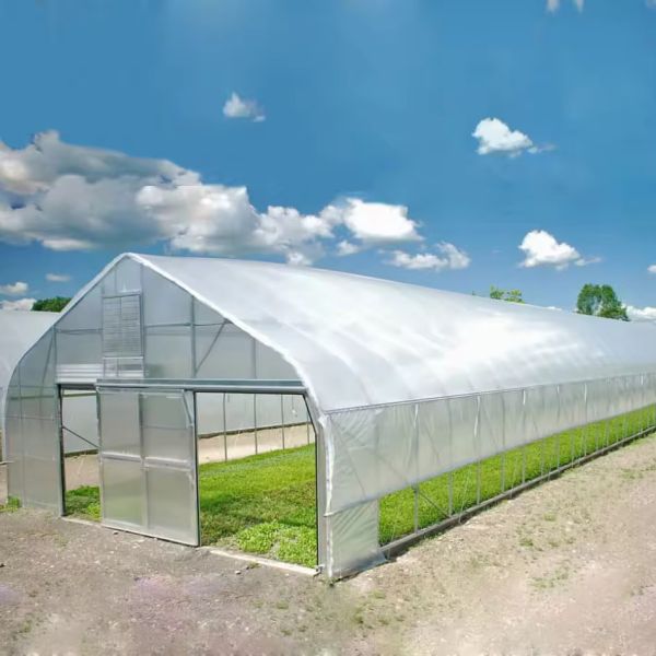 Economical Low Cost Plastic Film Single-span Poly Tunnel Galvanized Greenhouse Tent