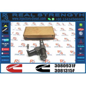 Wholesale High-performance Fuel Components Diesel Fuel Injector 3411761 3080931F