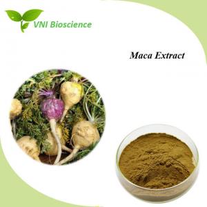 Cheap Natural Maca Root Extract Powder Supplyment Lepidium Meyenii Walp Extract for sale