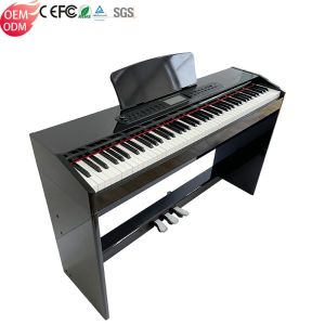 Digital Piano China Well-known Brands factory Musical Keybord 88 Hammer Touch Keyboard Five-track Audio  Constansa Instr