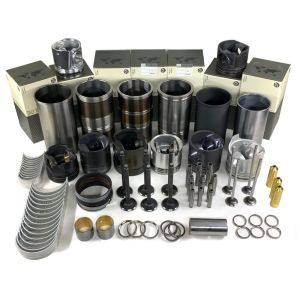 China 3116 3114 engine overhaul rebuild kit for  engine parts on sale