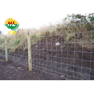Galvanized 1.0m Height Hinge Joint Wire Mesh For Agriculture Use