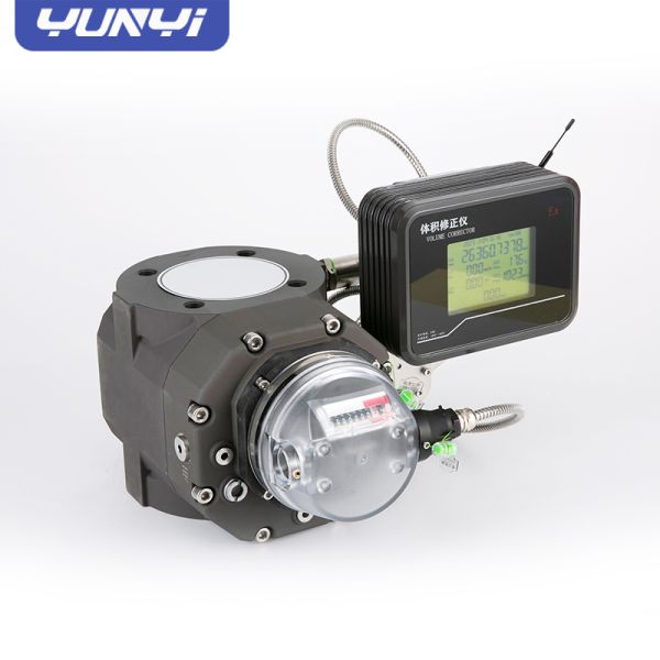 Quality Intelligent Digital Gas Flow Meter with Hard Alloy Bearings and Precision-Processed Waist Wheel for and Smooth Performance wholesale