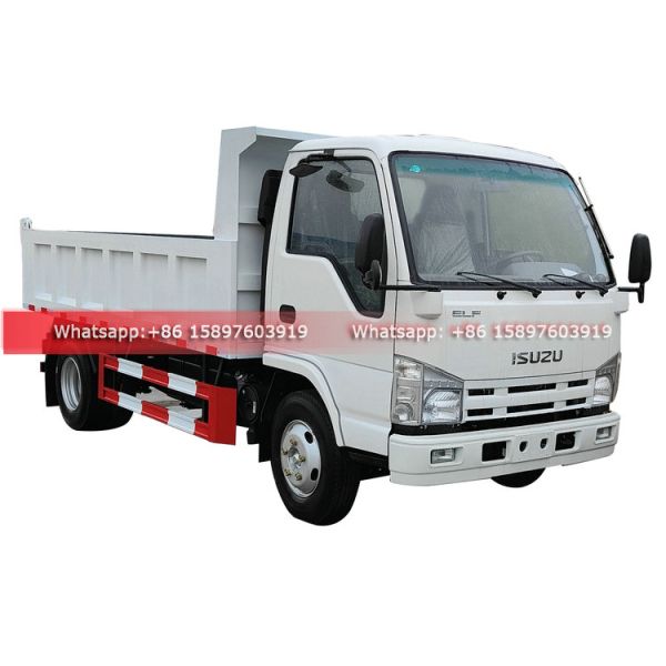 Philippines ISUZU ELF 100P 98HP Euro 4 Diesel Engine Mini 3T 4Tons Dump Truck Car For Sales