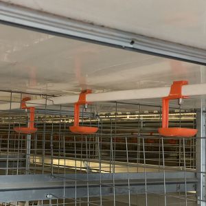 Designed Automatic Broiler Battery Chicken Cage System For Poultry Farm