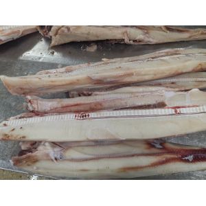 Cheap 10kg Frozen Marlin for sale