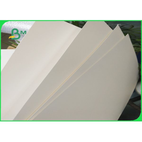 Food board 270g 295g 325g White High Bulk Food Grade Paperboard for Packaging
