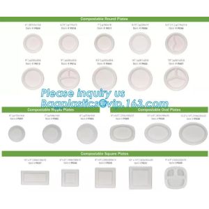 disposable takeaway bento to go box compostable food packaging sugarcane bagasse