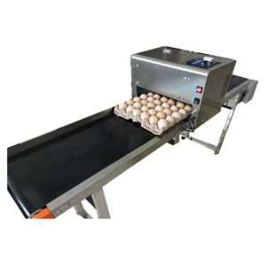 High tech carton coding machine eggs number inkjet printer with solvent For Egg