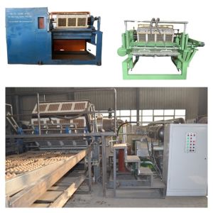 Waste Paper Pulp Molding Machine Egg Tray / Apple Tray / Egg Carton Making