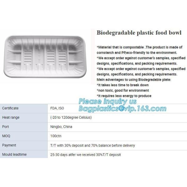 Quality SUGARCANE CUPS PLATE BOWL CONTAINERS, ECO FRIENDLY BIOGERADABLE CULTERY, PLA TRAY, STARCH BASED PRODUCTS compostable wholesale