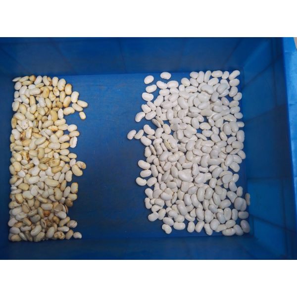 Wenyao 3 Chute 192 Channel White Black Beans Color Sorter Ccd High-precision Full-automatic Nut Rice Corn Wheat Color Sorter