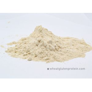 China NON GMO Wheat Gluten Protein Powder , Purified Wheat Protein Gluten on sale