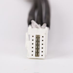 Customized Design 20AWG Wire Harness with 100% Testing Inspection and RoHS