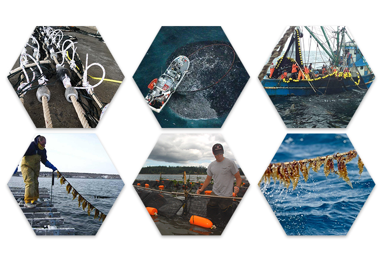 High Tenacity 18MM 20mm 22mm 24mm 36mm 28mm Polypropylene pp Marine Rope Yellow Color 3 Strand Twisted Wood Reel Packing Rope