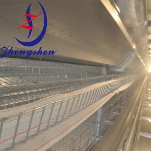 PP Egg Conveyor Belt for Poultry Farms 95mm Width Low Breakage