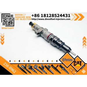 China Golden Vidar Befrag Fuel Injector 236-0962 235-2888 10R-7224 for CAT C9 / C-9 330C E330C FM 330C L Common Rail Injector on sale