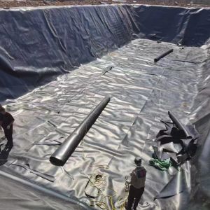 Chinese Geomembrane Impermeable Fish Pond Shrimp Pond Cistern Waterproof