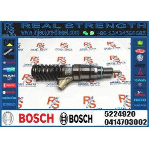 Hot Sell Common Rail Fuel Injector 0414703003 0414703005 0414703007 5224920 for