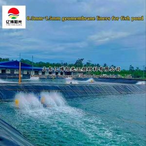 0.5mm HDPE Geomembranes The Ultimate Solution for Aquaculture Fish Shrimp Pond