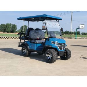 2+2 High End Luxury Blue Electric Golf Cart Lithium Battery With Customizable Color And LOGO