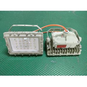 High brightness maintenance-free corrosion-resistant 100w 150w IP66 explosion