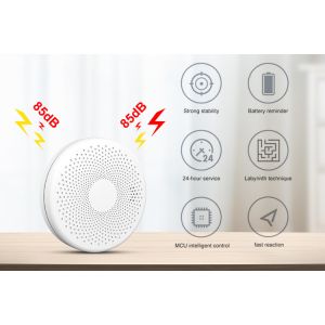 Combination Smoke and Carbon Monoxide Detector with AA replace Battery Operated